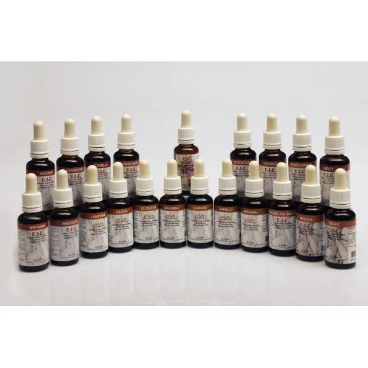 Adamah E.I.E. Curcuma Estratto Idroenzimatico Integratore Alimentare per Funzionalit&agrave; Digestiva 30 ml