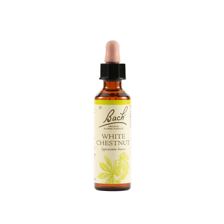 Schwabe Pharma White Chestnut Fiore di Bach "Serenità" 20 ml Schwabe Pharma White Chestnut Fiore di Bach "Serenità" 20 ml