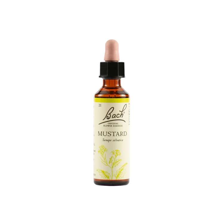 Schwabe Pharma Mustard Fiore di Bach "Felicit&agrave; e Serenit&agrave;" 20 ml