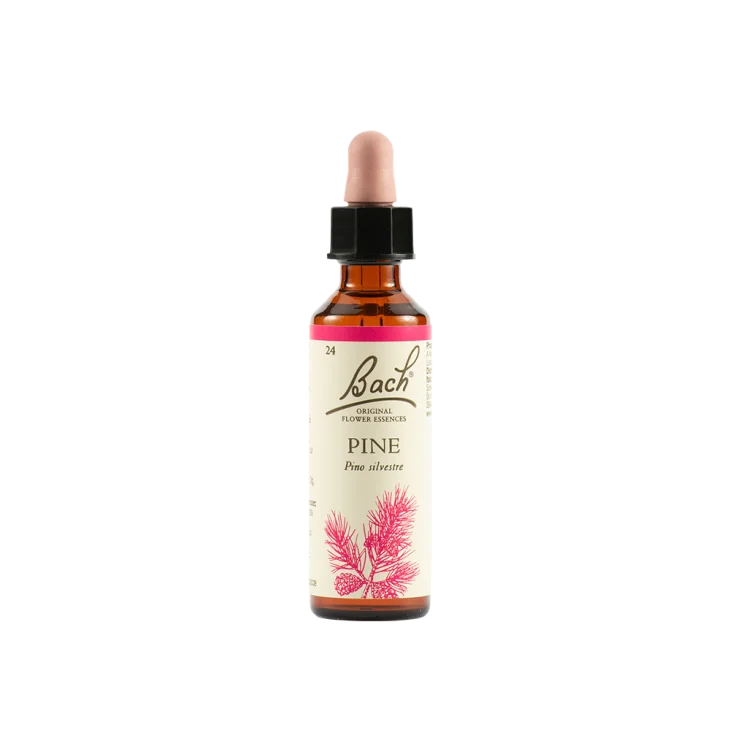 Schwabe Pharma Pine Fiore di Bach "Liberazione Interiore e Amore per S&egrave;" 20 ml