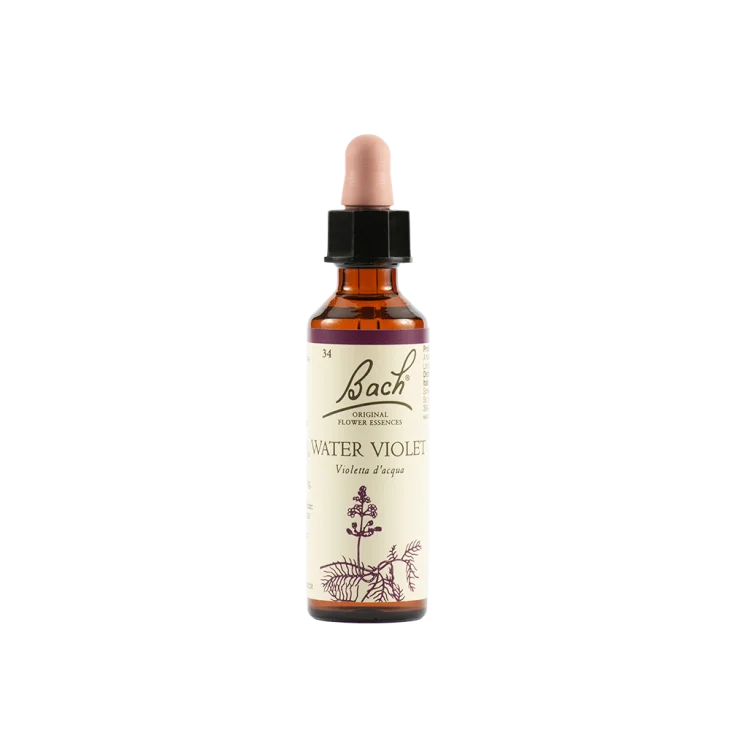 Schwabe Pharma Water Violet Fiore di Bach "Umilt&agrave; e Servizio" 20 ml