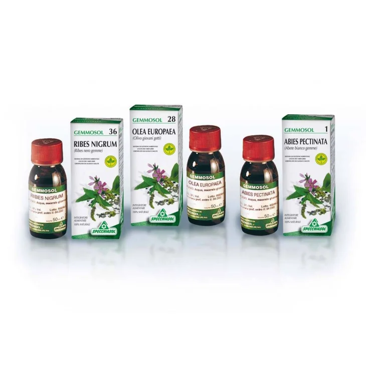 Specchiasol Gemmosol 3 Ippocastano Soluzione Idroalcolica