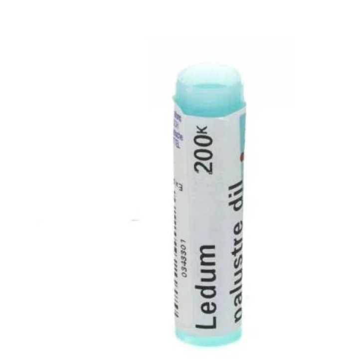 Boiron Ledum Palustre 200 K Globuli