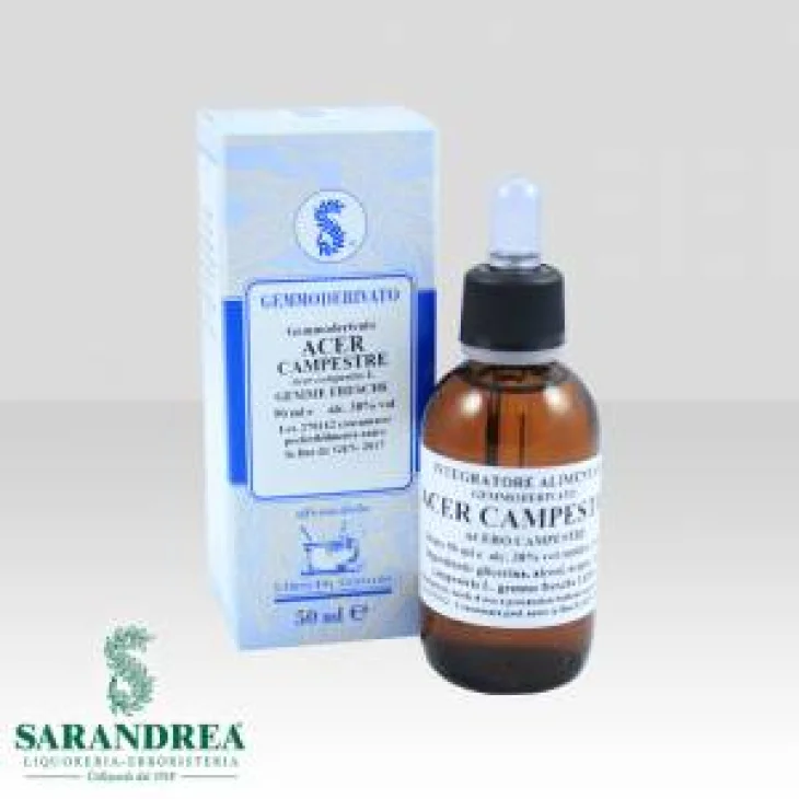 Sarandrea Marco Gemmoderivato Acer Campestre per il Colesterolo