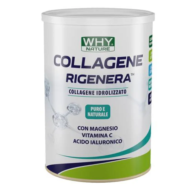 WHYnature Collagene Rigenera Integratore di Collagene Idrolizzato Gusto Neutro 300 g WHYnature Collagene Rigenera Integratore di Collagene Idrolizzato Gusto Neutro 300 g