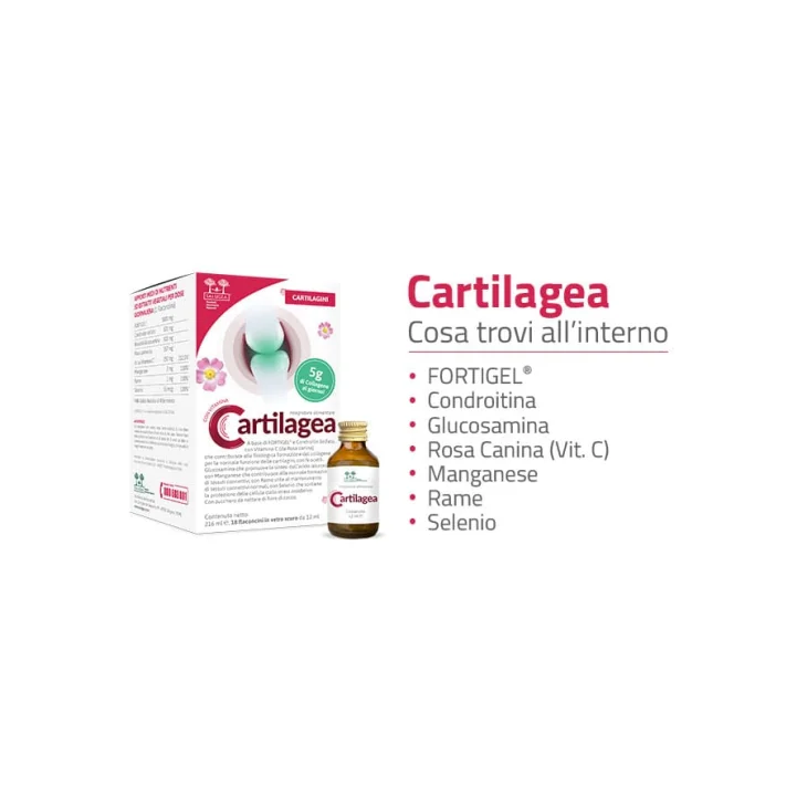 Salugea Cartilagea Integratore per benessere articolare 18 flaconcini da 12 ml