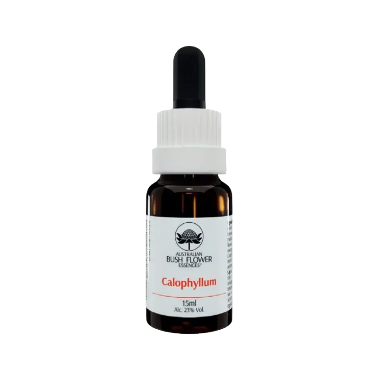 Australian Bush Flower Calophyllum Essenza floreale 15 ml Australian Bush Flower Calophyllum Essenza floreale 15 ml