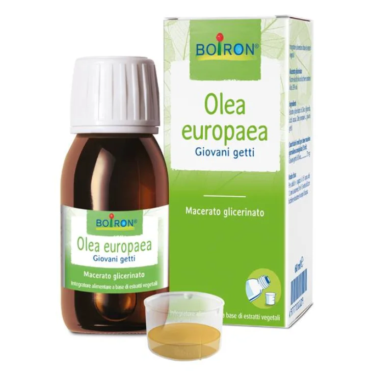 Boiron Olea Europaea Macerato Glicemico 60 ml