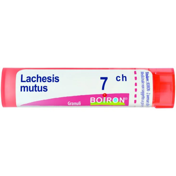 LACHESIS MUTUS 7CH GR LACHESIS MUTUS 7CH GR
