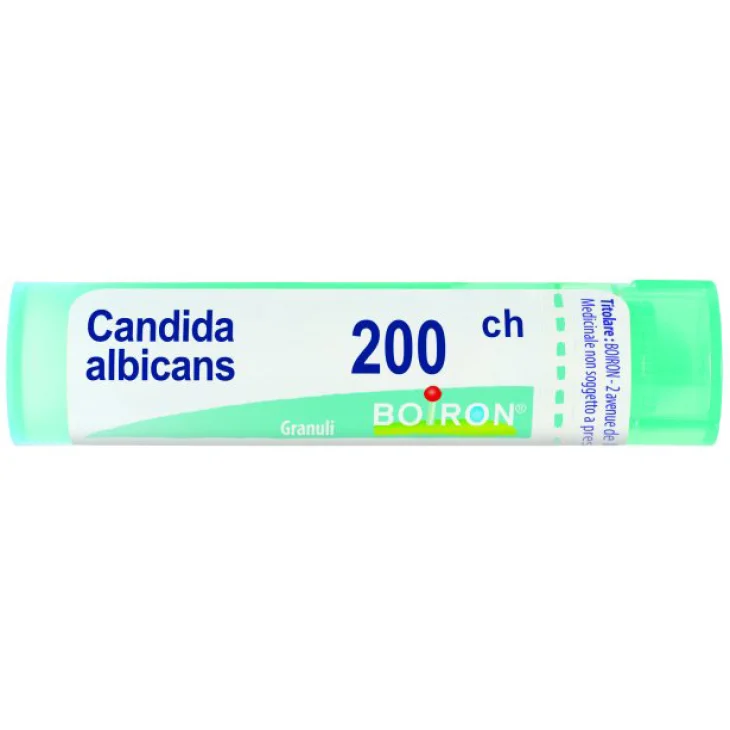 CANDIDA ALBICANS 200CH GR CANDIDA ALBICANS 200CH GR