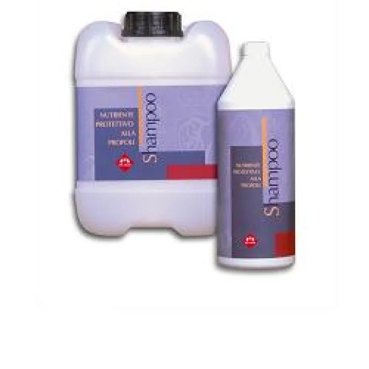 SHAMPOO NUTRIENTE PROT. PROPOL