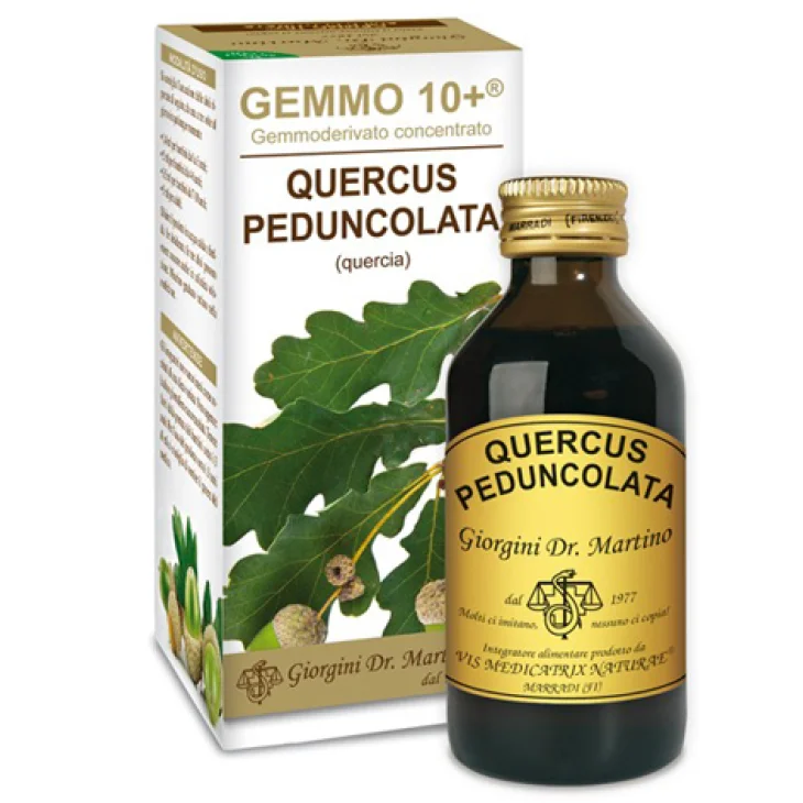 QUERCIA 100ML ANALCO GEMMO 10+ QUERCIA 100ML ANALCO GEMMO 10+