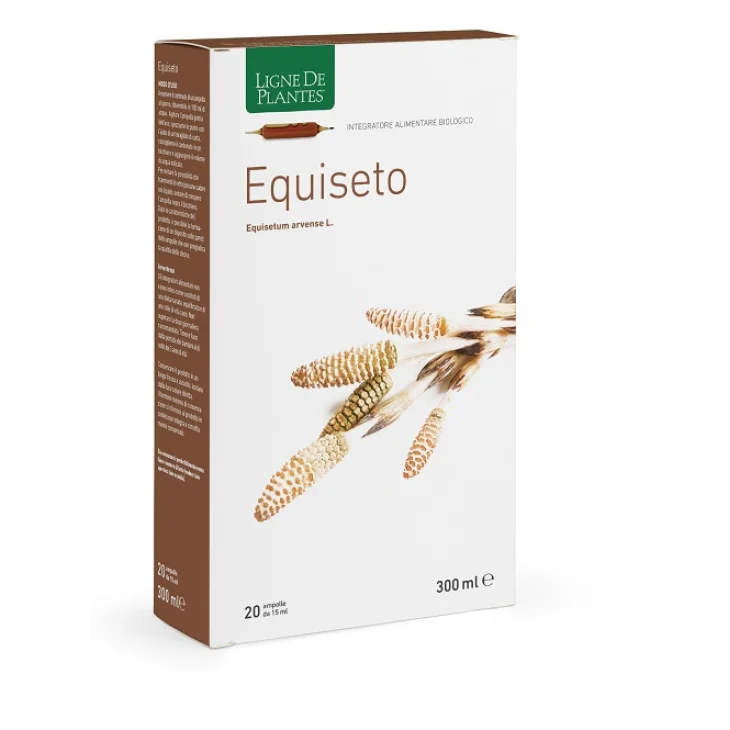 EQUISETO BIO 20AB 15ML
