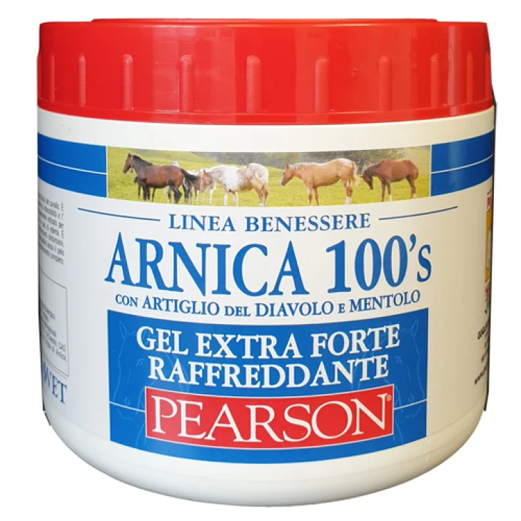 ARNICA 100 S EXTRA FORTE RAFFR