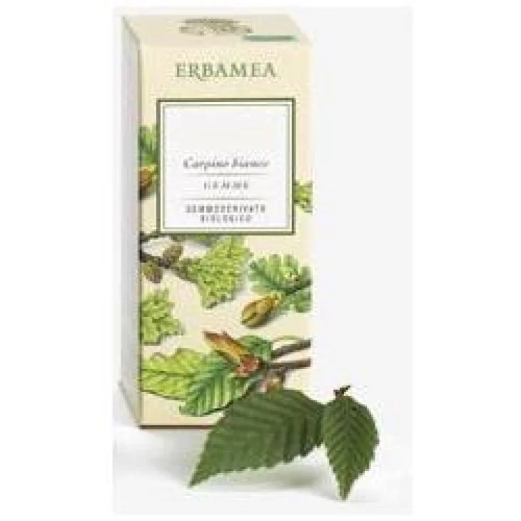 TILIA TORMENGEMME GEMMODE ERBAM TILIA TORMENGEMME GEMMODE ERBAM