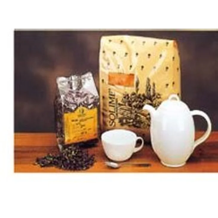 ASSENZIO ROMANO SOMMITA' TAGLIO TISANA 100 G ASSENZIO ROMANO SOMMITA' TAGLIO TISANA 100 G