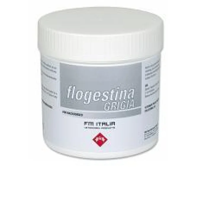 FLOGESTINA GRIGIA PASTA 1 KG