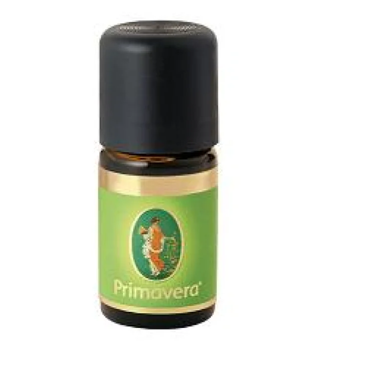 CANNELLA CORTECCIA 60% OLIO ESSENZIALE BIO 5 ML CANNELLA CORTECCIA 60% OLIO ESSENZIALE BIO 5 ML