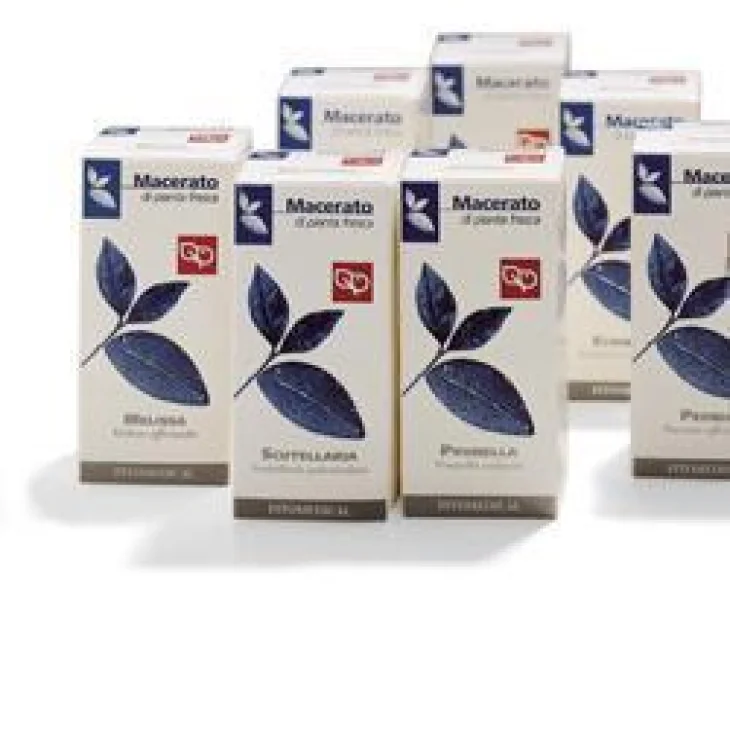 ECHINACEA 50ML TM ECHINACEA 50ML TM