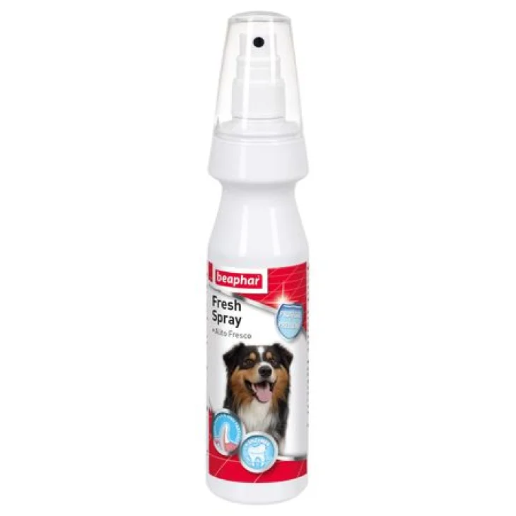 FRESH SPRAY 150ML FRESH SPRAY 150ML