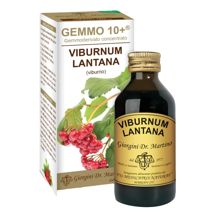 Dr Giorgini Viburno Gemmo 10+ Gemmoderivato Supporto per Le Vie Respiratorie Liquido Analcolico 100ml Dr Giorgini Viburno Gemmo 10+ Gemmoderivato Supporto per Le Vie Respiratorie Liquido Analcolico 100ml