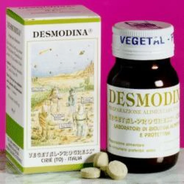 DESMODINA 80TAV DESMODINA 80TAV