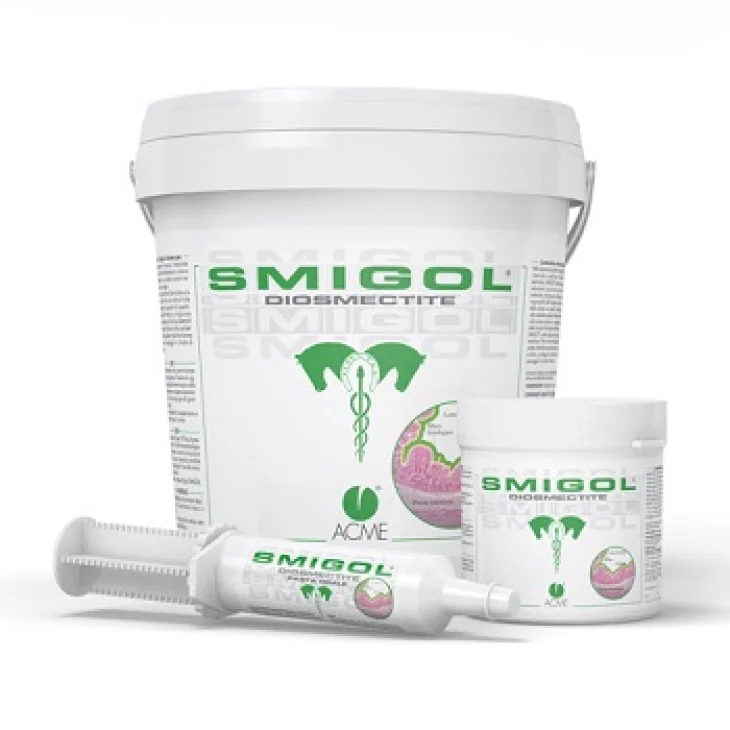 SMIGOL PASTA SIRINGA 100G SMIGOL PASTA SIRINGA 100G