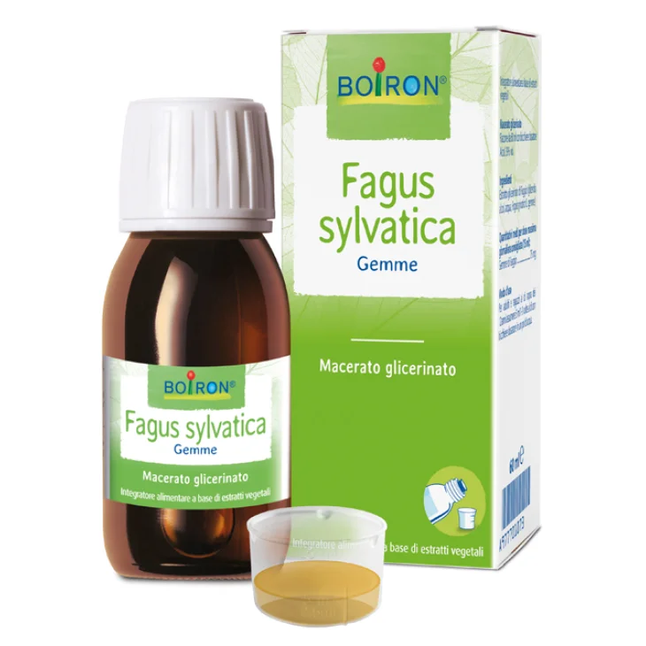 FAGUS SYLVATICA BOIRON MG 60ML FAGUS SYLVATICA BOIRON MG 60ML