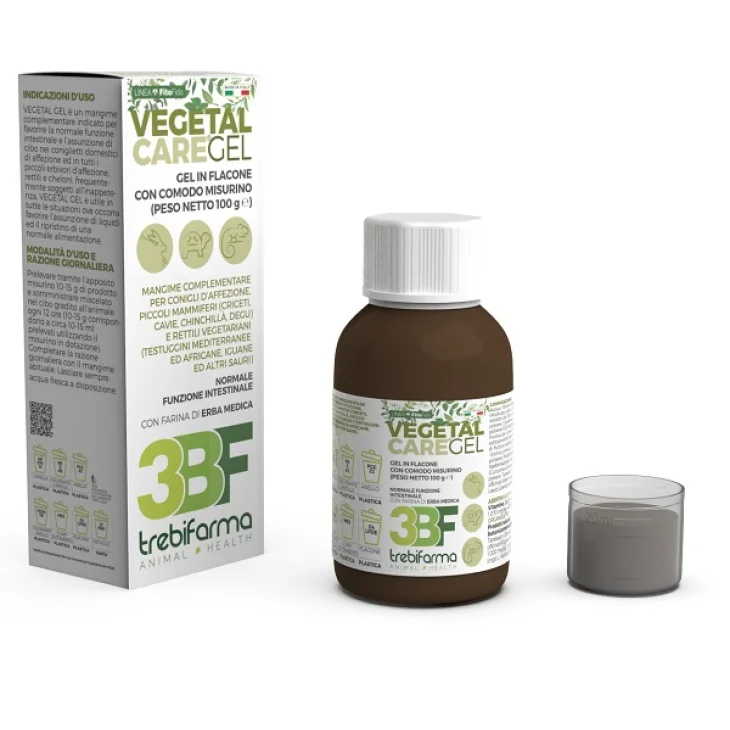 VEGETAL CARE GEL 100G