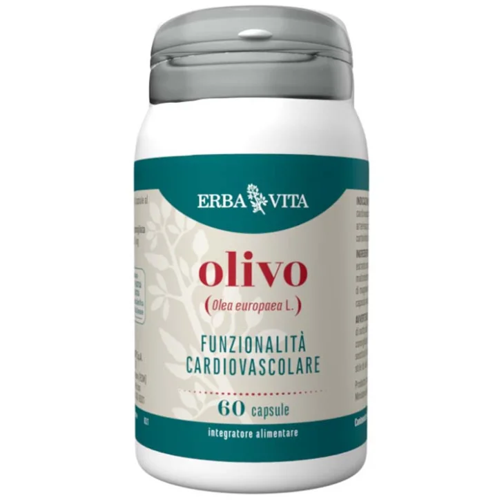 OLIVO 60CPS