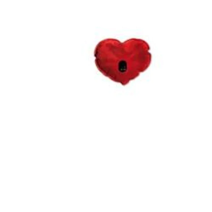 CALDO CUORE Electric Warmer CALDO CUORE Electric Warmer