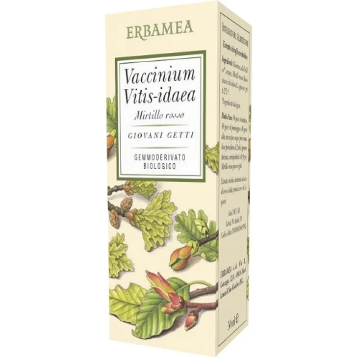 VACCINIUM VITIS IDAEA BIO 50ML VACCINIUM VITIS IDAEA BIO 50ML