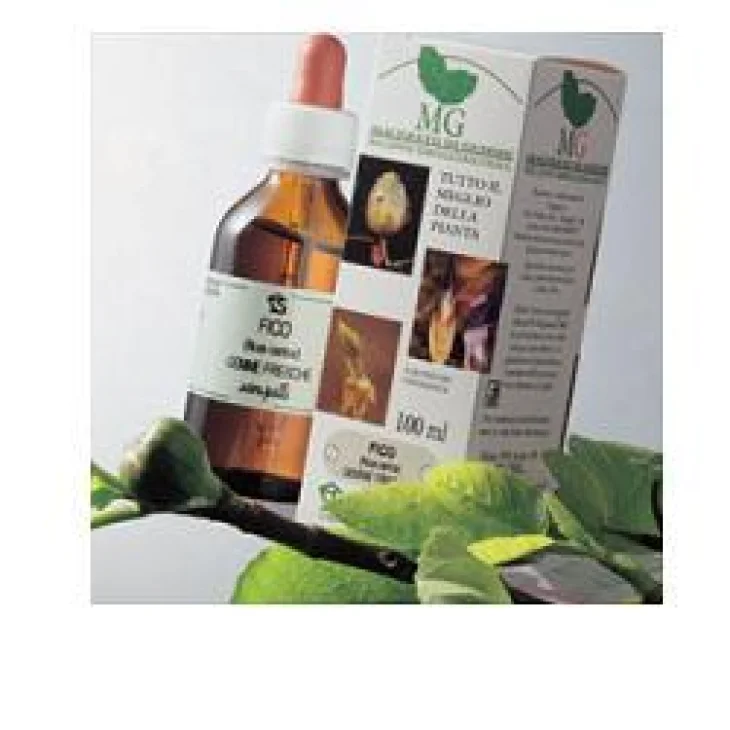 FICO 100ML MG FICO 100ML MG