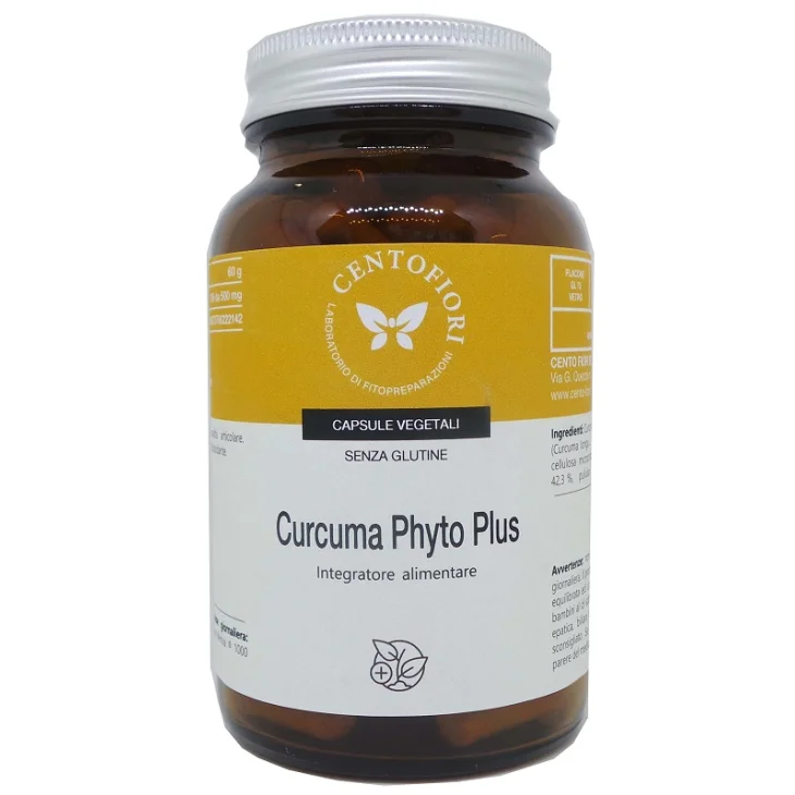 CURCUMA PHYTO PLUS 100CPS VEG CURCUMA PHYTO PLUS 100CPS VEG