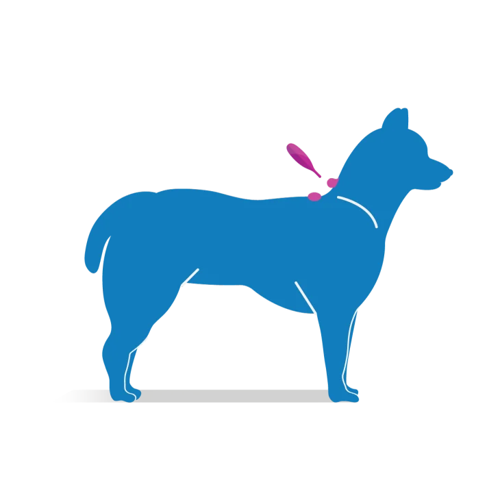 Frontline Tri-Act Antiparassitario per cani 3 pipette - Formato: 4 ml ( peso da 20 a 40 kg)