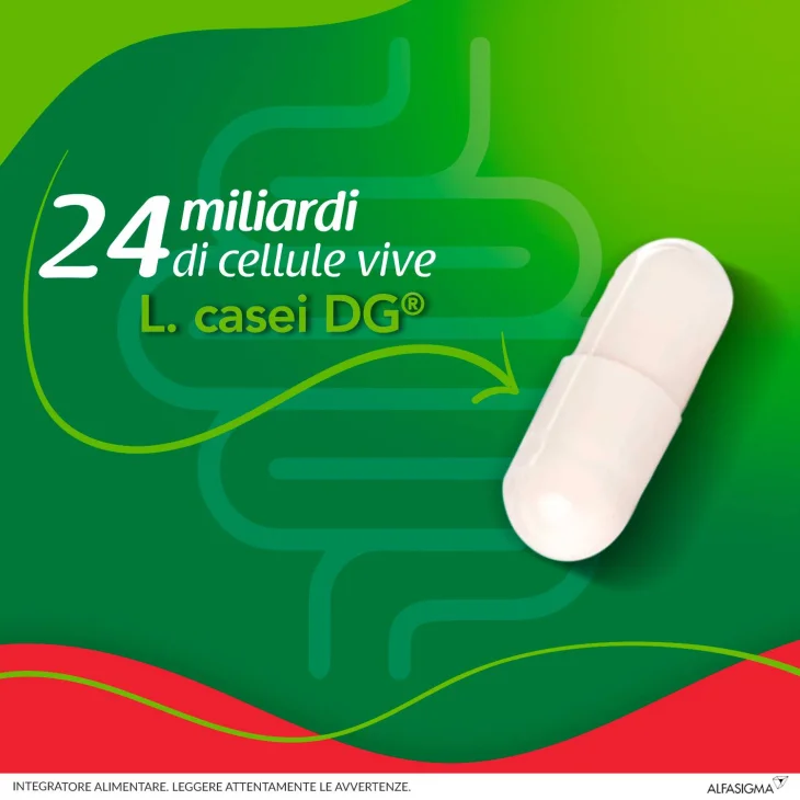 Enterolactis Plus Integratore di Fermenti lattici vivi 15 capsule