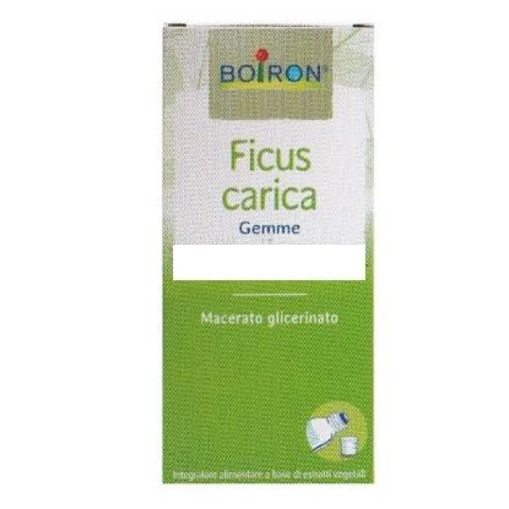 Boiron Ficus Carica Macerato Glicerico 60 ML Boiron Ficus Carica Macerato Glicerico 60 ML
