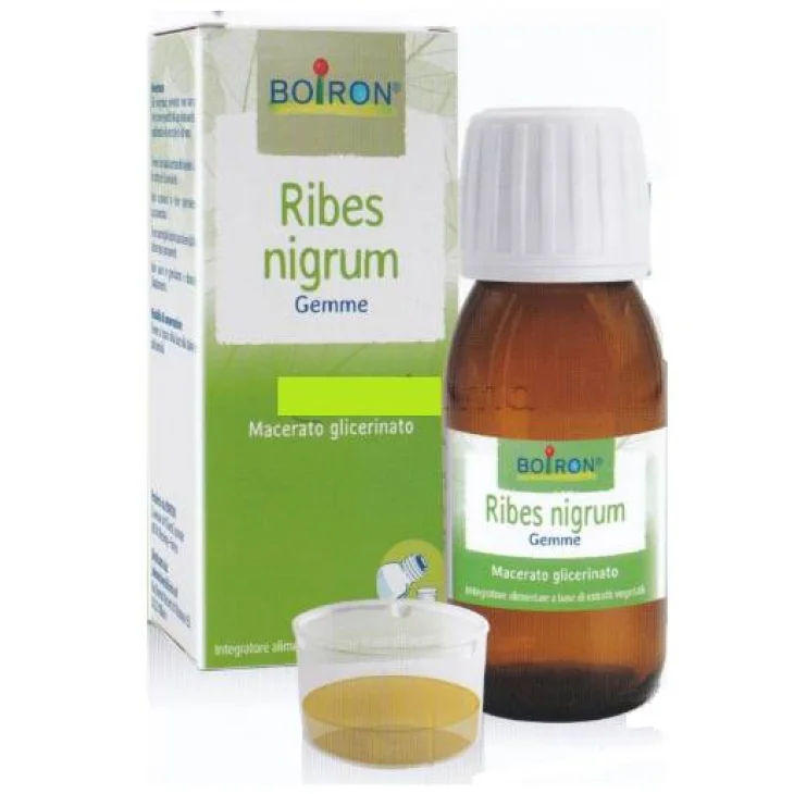 Boiron Ribes Nigrum Macerato Glicerico 60 ML Boiron Ribes Nigrum Macerato Glicerico 60 ML