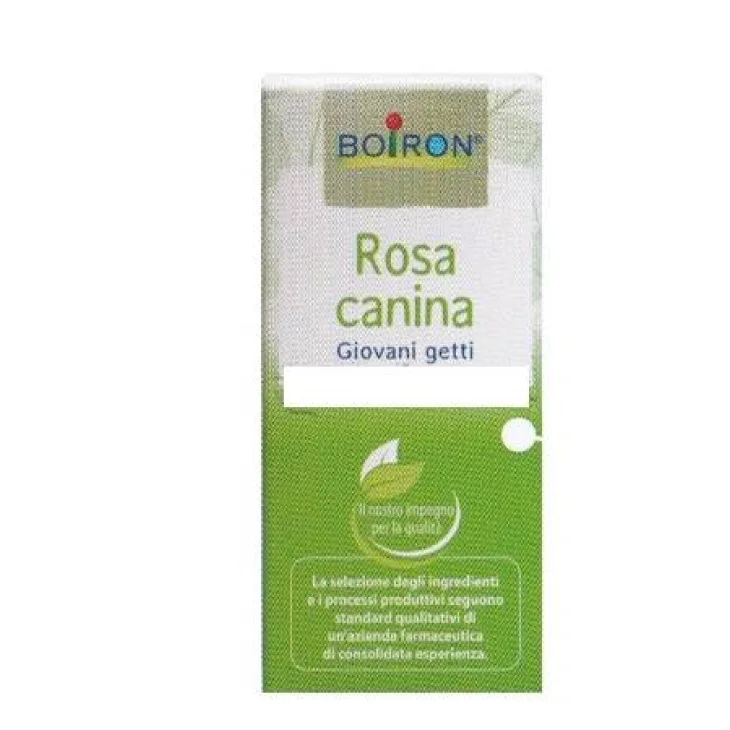 Boiron Rosa Canina Macerato Glicerico 60 ML Boiron Rosa Canina Macerato Glicerico 60 ML
