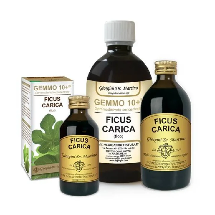 Dr Giorgini Gemmo 10+ Ficus Carica Integratore a Base di Gemmoderivato di Fico 200 ml Dr Giorgini Gemmo 10+ Ficus Carica Integratore a Base di Gemmoderivato di Fico 200 ml