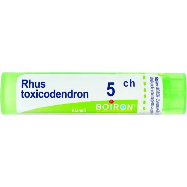 Boiron rhus toxicodendron*80 granuli 5 CH contenitore multidose Boiron rhus toxicodendron*80 granuli 5 CH contenitore multidose