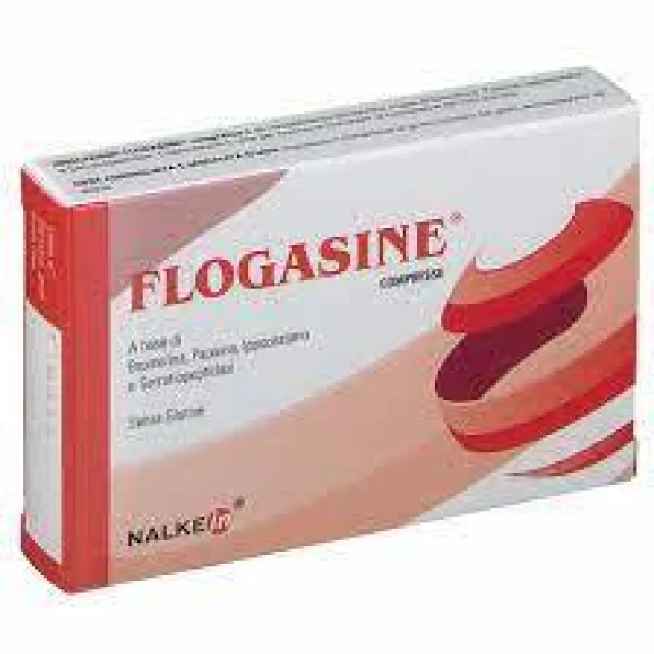 Flogasine Integratore Antinfiammatorio 20 bustine Flogasine Integratore Antinfiammatorio 20 bustine