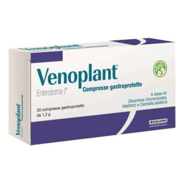 Venoplant per la funzione del microcircolo 20 Compresse 1,2 g Venoplant per la funzione del microcircolo 20 Compresse 1,2 g