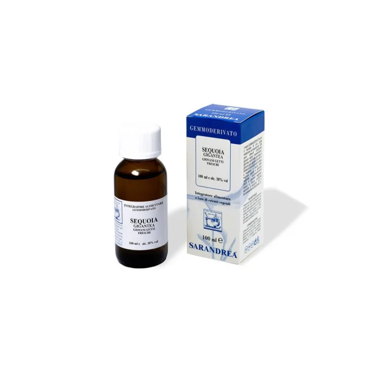 Sarandrea Marco Sequoia Gigantea Gemmoderivato Macerato Glicerico 100 ml Sarandrea Marco Sequoia Gigantea Gemmoderivato Macerato Glicerico 100 ml