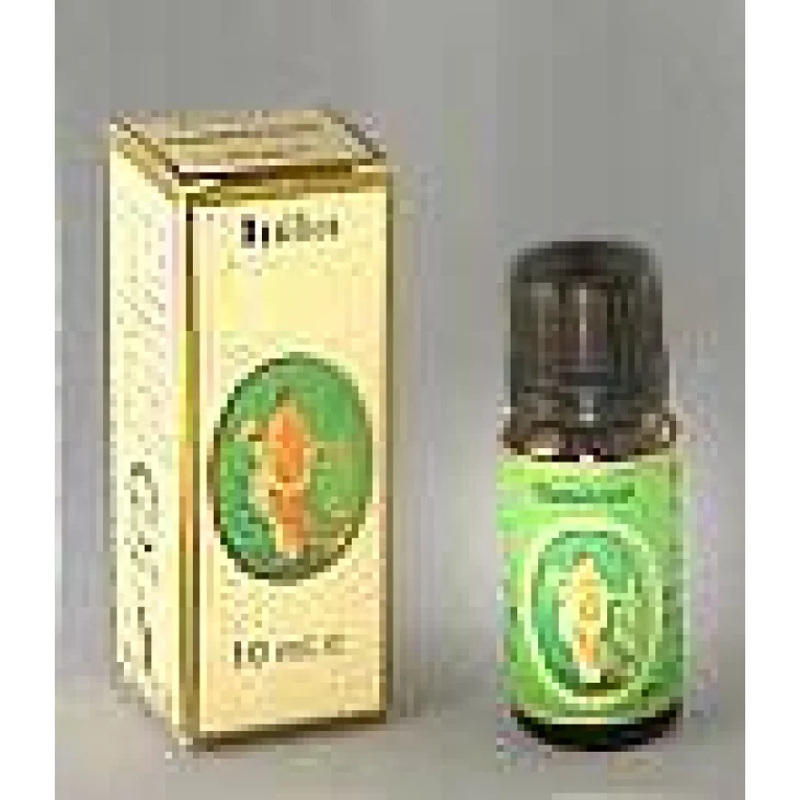 PINO SILVESTRE OE 10ML PINO SILVESTRE OE 10ML