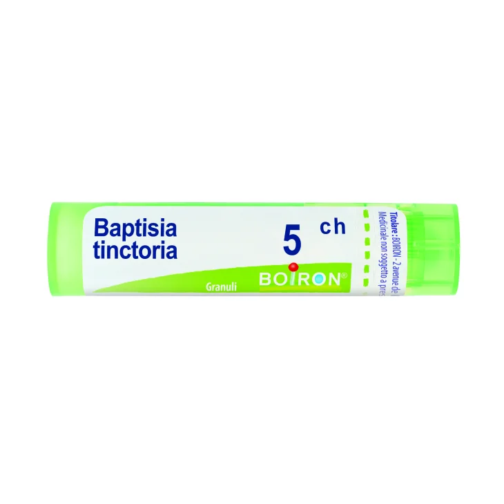 Baptisia Tinctoria 5ch 80gr 4g