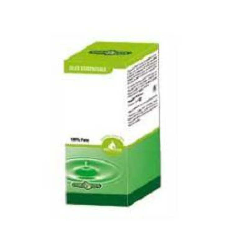 ZENZERO OE 10ML ZENZERO OE 10ML