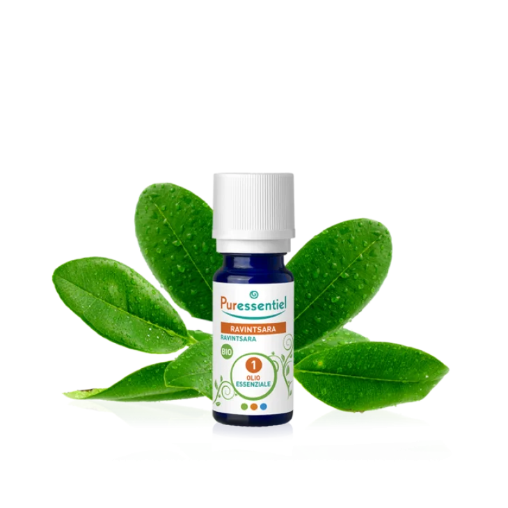Puressentiel Olio Essenziale Ravinstara Bio 10 ml Puressentiel Olio Essenziale Ravinstara Bio 10 ml