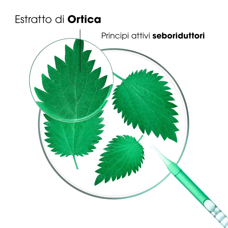 Klorane Shampoo all'Ortica Bio Capelli Grassi 200 ml