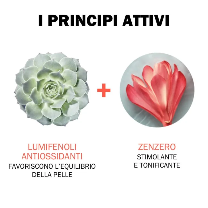 Jowa&eacute; Gel Doccia Idratante Stimolante Corpo Allo Zenzero 400 ml